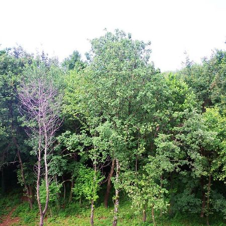 Astrea Apartman Fiume Kültér fotó