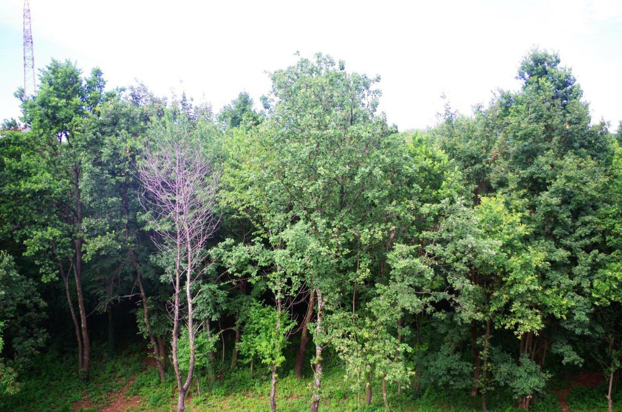 Astrea Apartman Fiume Kültér fotó