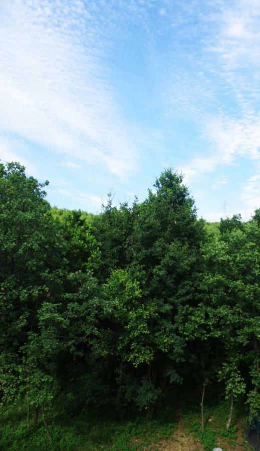 Astrea Apartman Fiume Kültér fotó